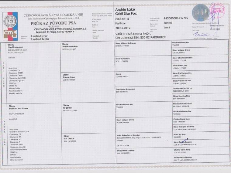 Archie Lake Orkif Star Fox