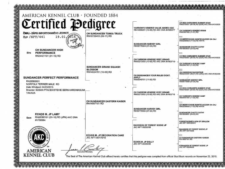 Sundancer Perfect Performance