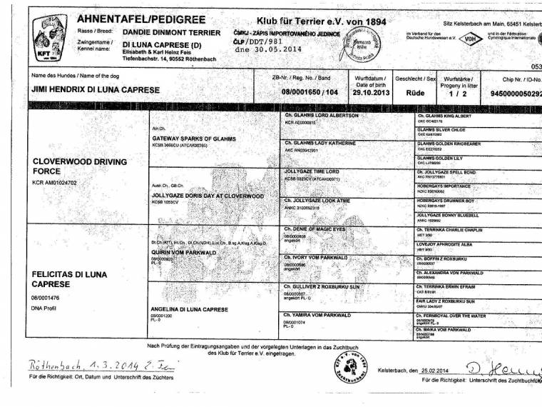 Jimi Hendrix di Luna Caprese