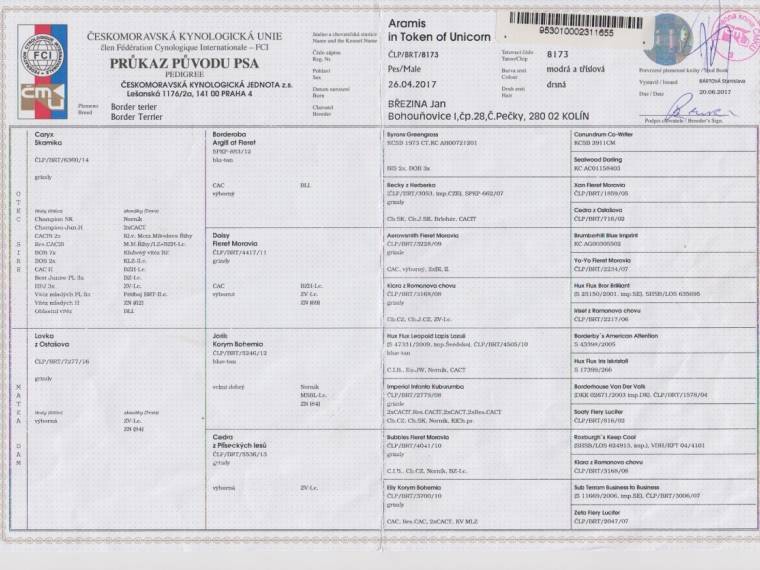 Aramis in Token of Unicorn