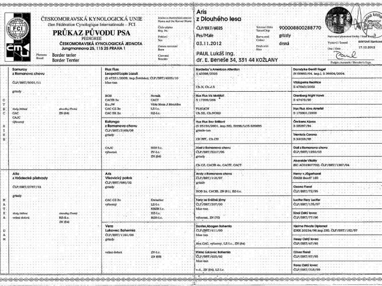 Aris z Dlouhého lesa