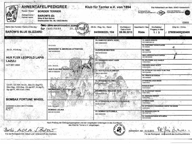 Barow's Blue Blizzard