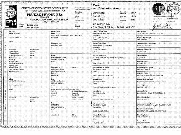 Coiro ze Všetulského dvora