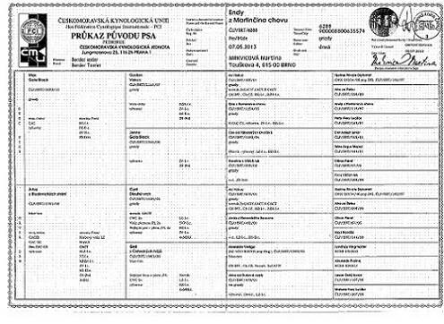 Endy z Martinčina chovu