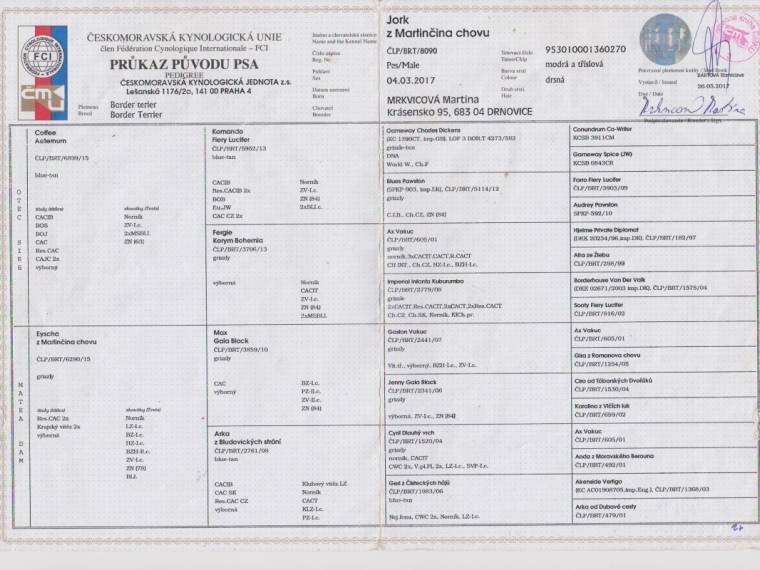Jork z Martinčina chovu