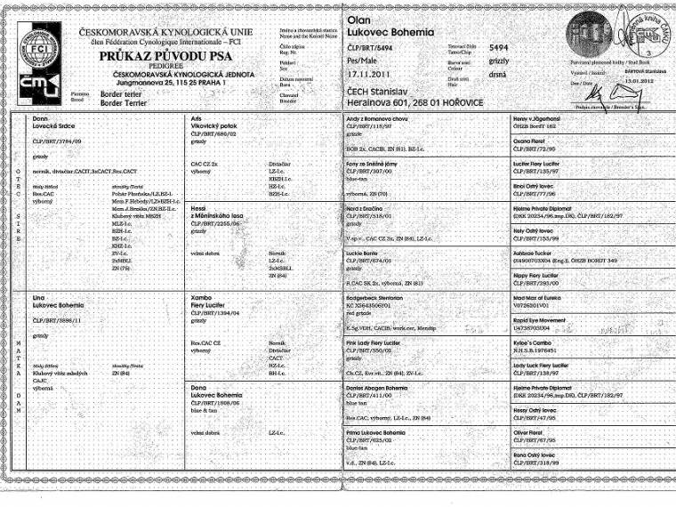 Olan Lukavec Bohemia
