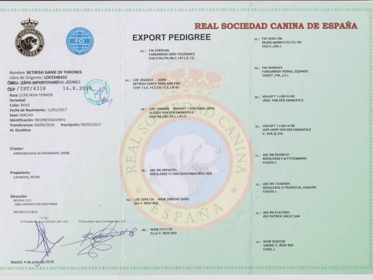 Betirish Game Of Thrones