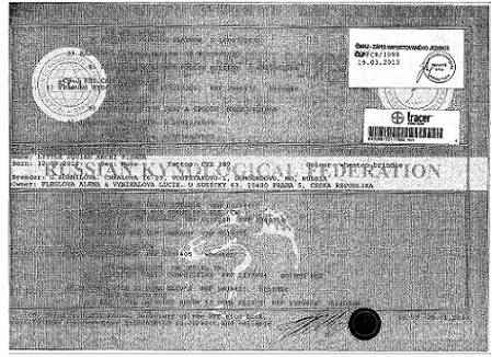 Little Squire Archi Fisher