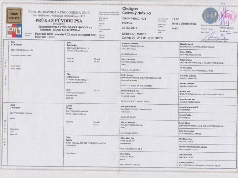 Chuligan Čelivský drákula