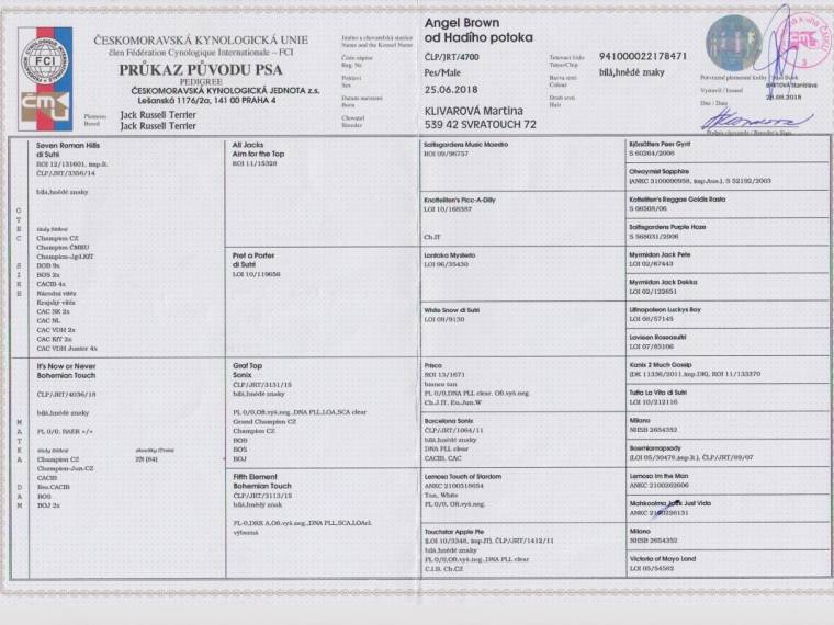 Angel Brown od Hadího potoka