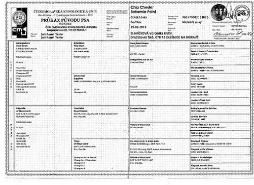 Chip Chester Bohemia Point