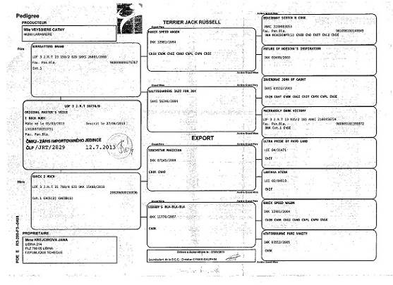 I Rock Ruby Original Masters Voice