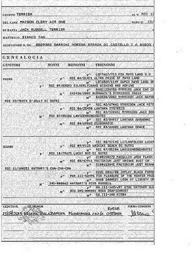 Maison Clery Air One