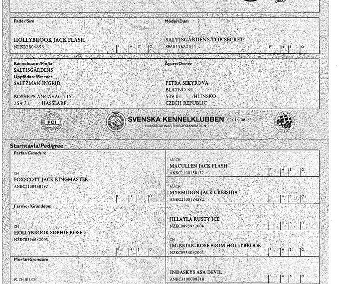 Saltisgärdens Dow Jones