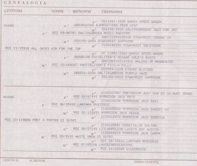 Seven Roman Hills Di Sutri