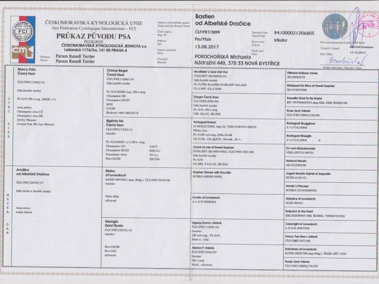 Bastien od Albeřské Dračice