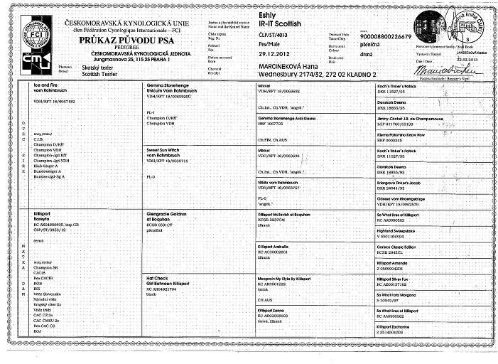 Eshly IR-IT Scottish
