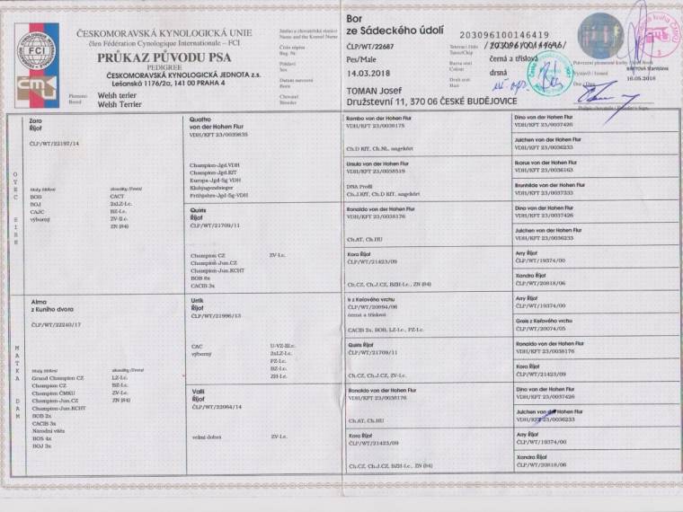 Bor ze Sádeckého údolí