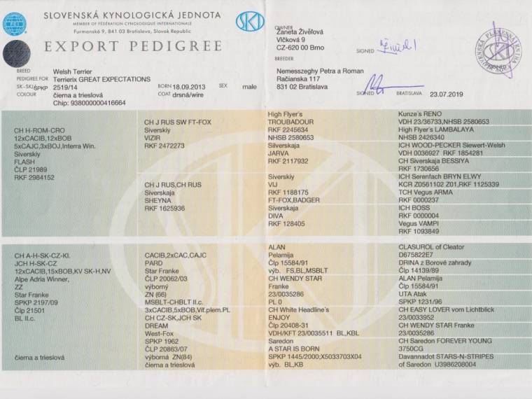 Terrierix Great Expectations