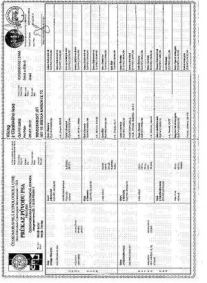 Viking z Císařského lesa