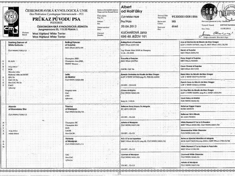 Albert od Hošťálky