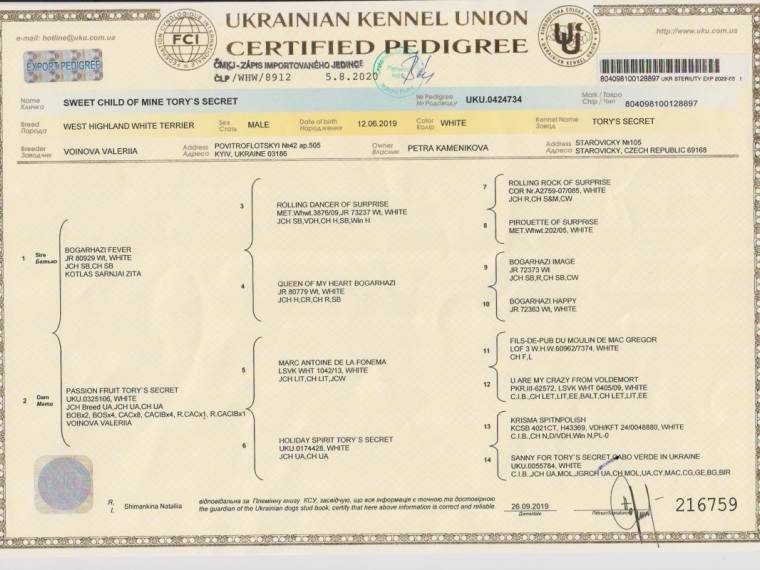 Sweet Child of Mine Tory's Secret