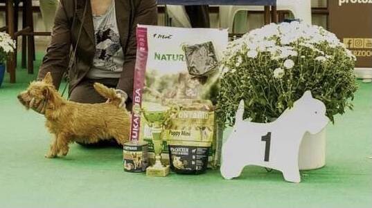 Fifty Shades Lovely Companion