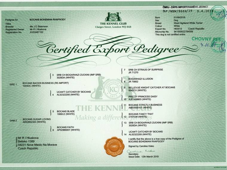 Bocans Bohemian Rhapsody