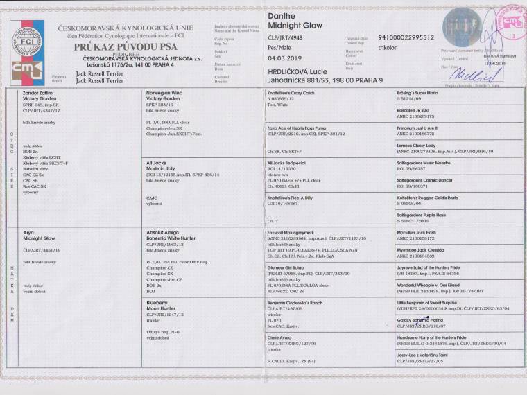 Danthe Midnight Glow