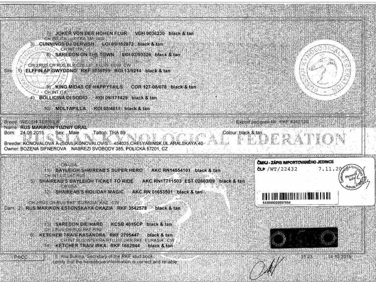 Yuzniy Ural Rus Marikon