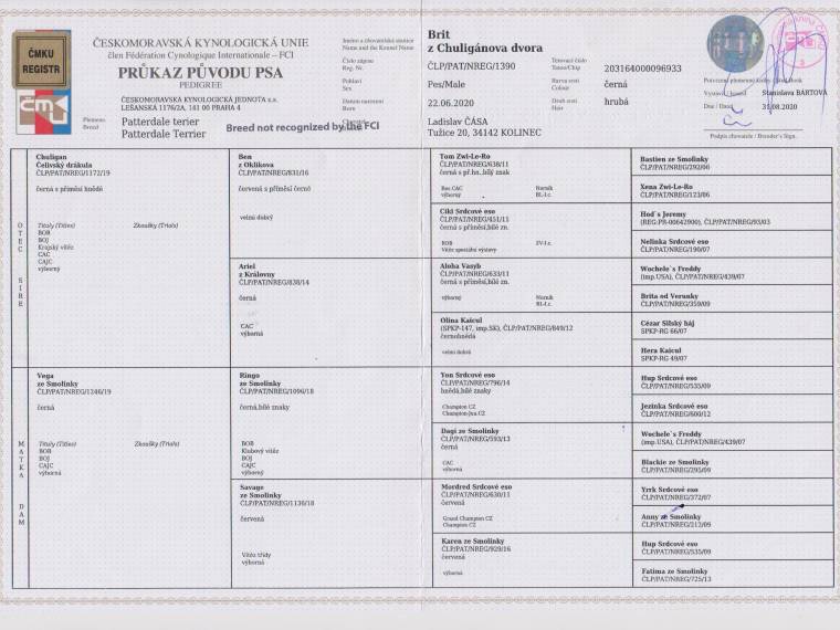 Brit z Chuligánova dvora