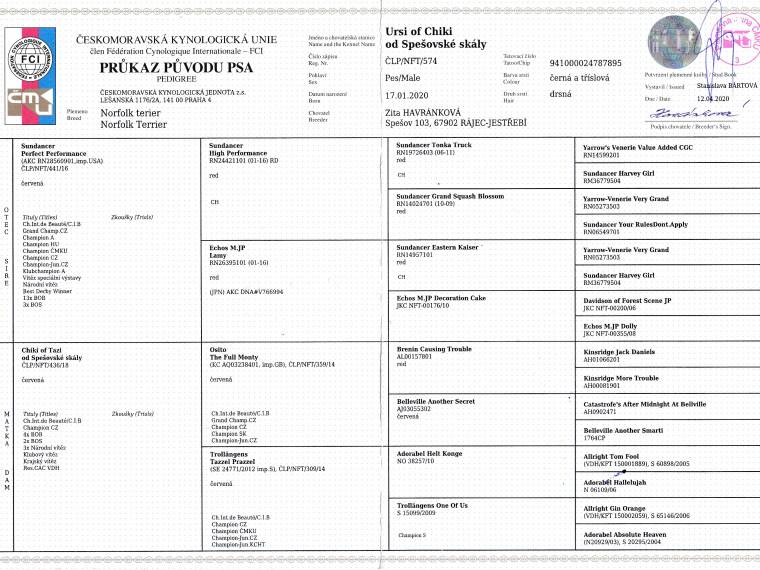 Ursi of Chiki od Spešovské skály