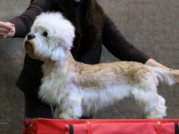 Hannessey Honey ze Žihelské zahrady