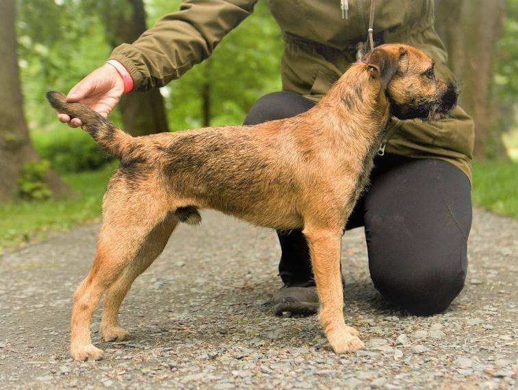 Dan z Andrejkinej chaty