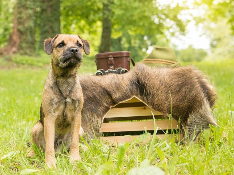 Dan z Andrejkinej chaty