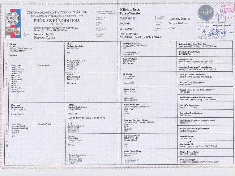 O'Brian Ryss Terry-Westie