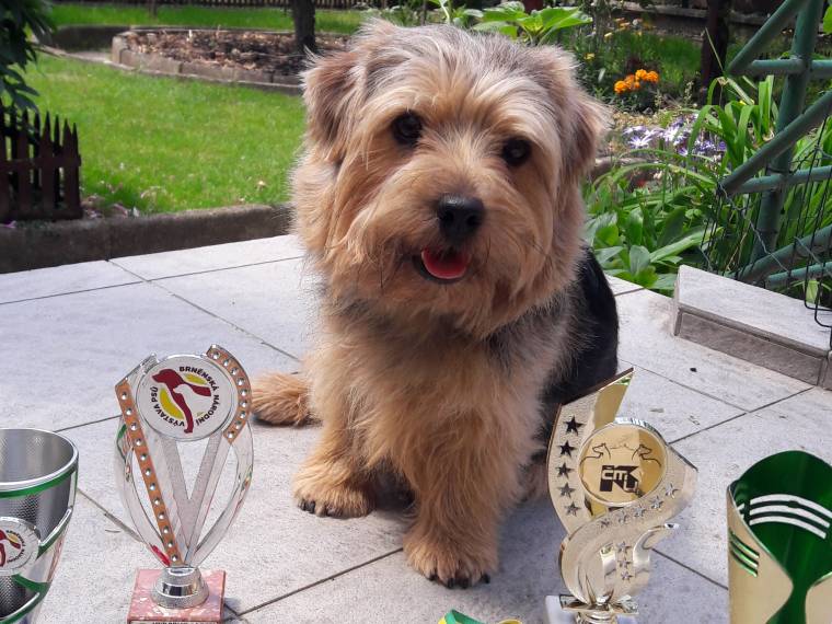 Ursi of Chiki od Spešovské skály