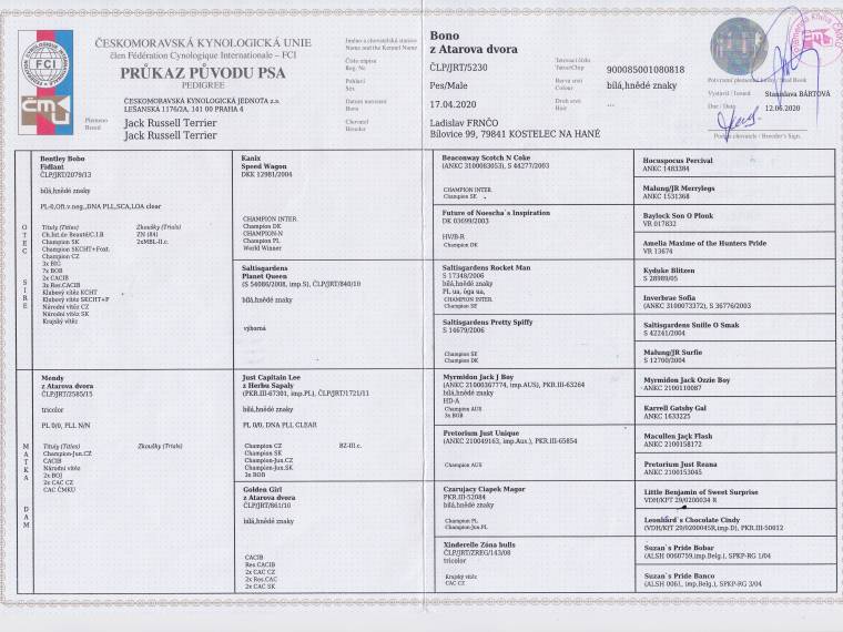 Bono z Atarova dvora