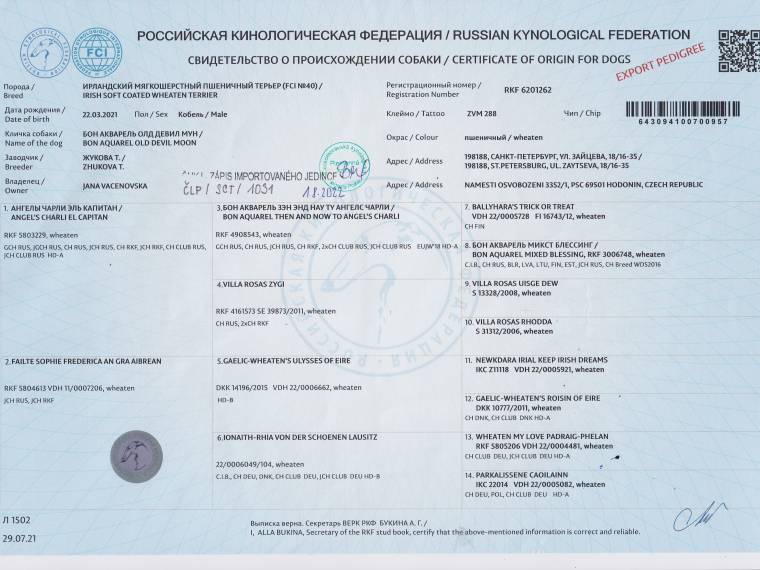 Old Devil Moon Bon Aquarel