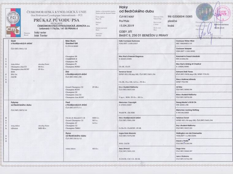 Haky od Bedrčského dubu