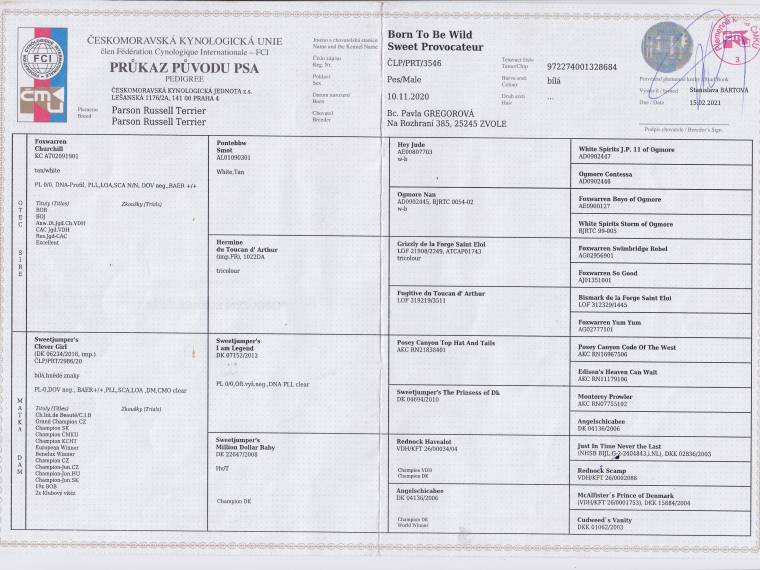 Born to be Wild Sweet Provocateur