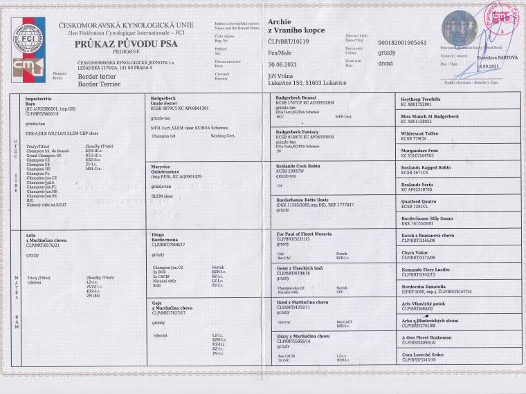 Archie z Vraního kopce