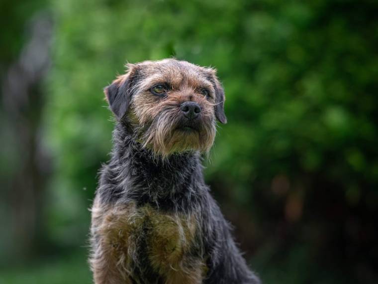 Cita od Zabité skály