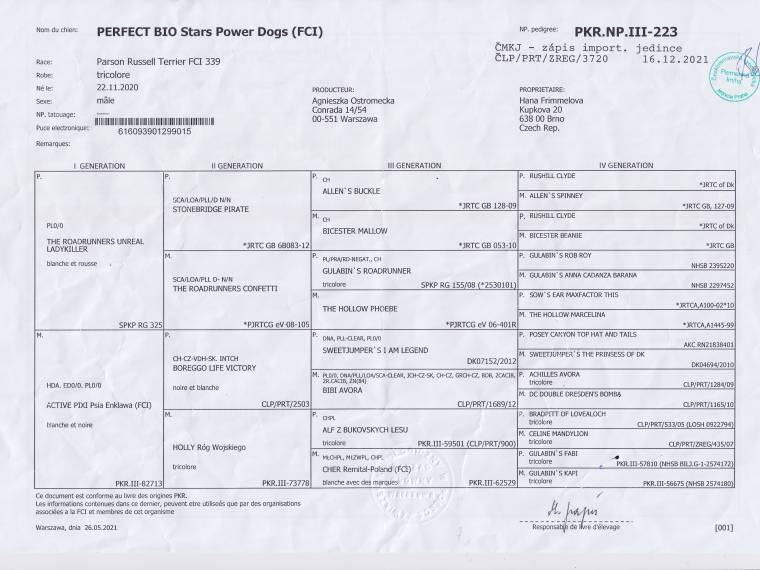 Perfect Bio Stars Power Dogs (FCI)