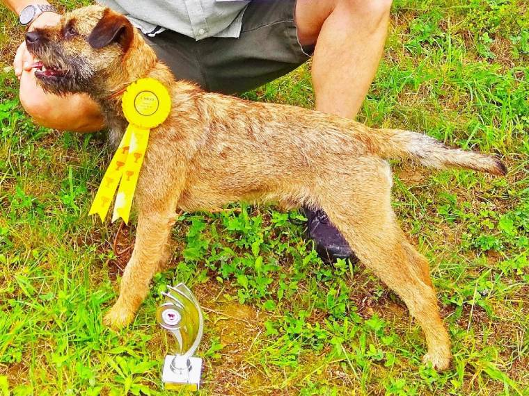 Archie z Vraního kopce