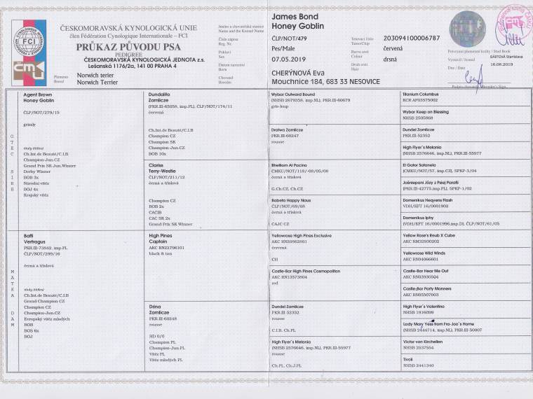 James Bond Honey Goblin