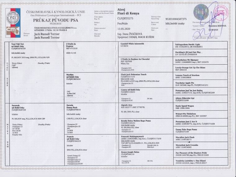 Atrej Fiori di Kenya