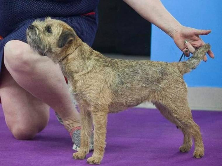 Brankell Double Bubble