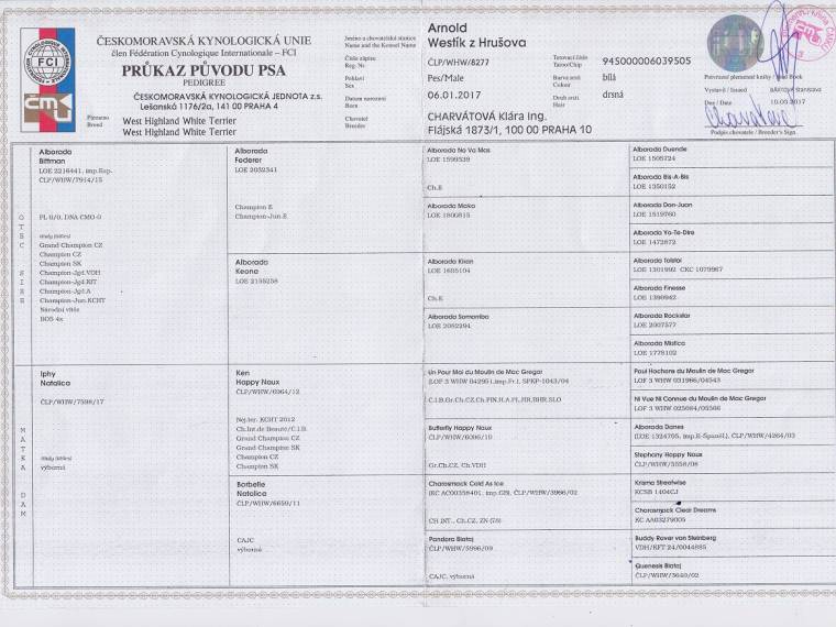 Arnold Westík z Hrušova