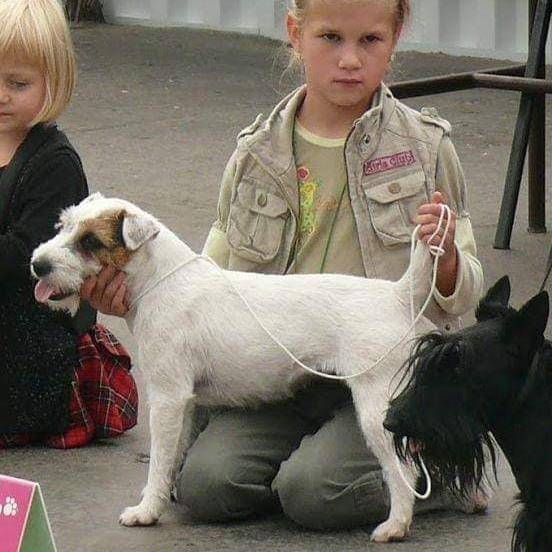 Frony Kutcher - Chan